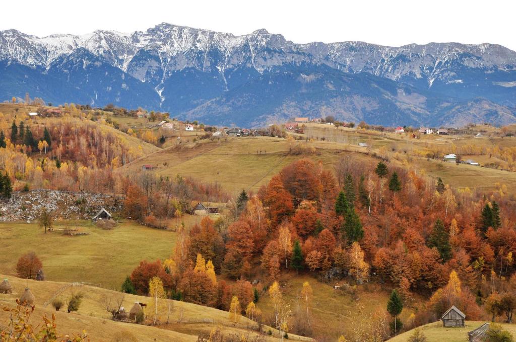 cazare in satele magura si pestera